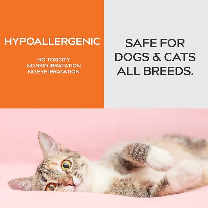 Unscented Pet Odor Eliminator Spray – Mineral-Based Spray to Tackle Cat Urine, Litter Box, and Bedding Odors – 9 Fl Oz