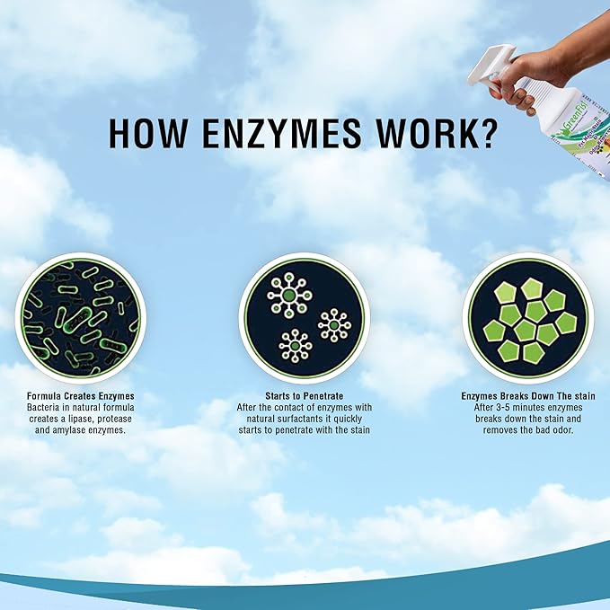 GreenFist Pet Stain & Odor Remover Magic Fast Acting Carpet Spot Cleaner Enzyme Powered Formula Cats,Dogs, Small Animal, 32 oz Spray