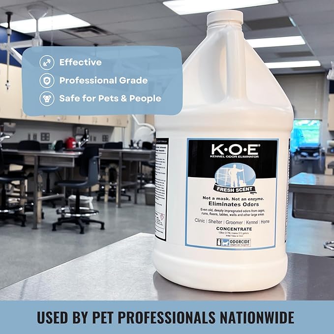 K.O.E. Fresh Scent Odor Eliminator Concentrate – Kennel Odor Eliminator for Strong Odor on Cages, Floor, & More – Non-Enzymatic Pet Odor Eliminator for Home & Dog Kennel – Home & Pet Supplies (1 Gal)