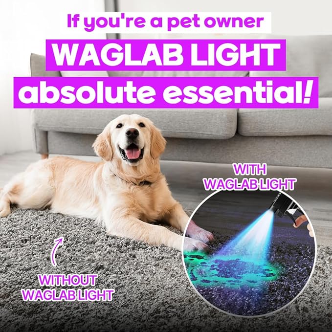 CATCH SMELL Stain & Odor Eliminator flower Deodorizer air fresheners for Home, Carpet Remover for Cats & Dog Pee Cat Urine Destroyer,Clean refresher Spray