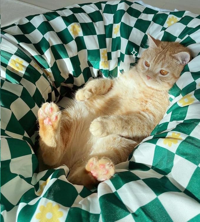 Premium Design Patent, Suitable for Multiple Cats to use at Once, Including cat Toys, cat Tunnel, cat mat, cat Tunnel Bed – Suitable for Small, Medium, and Large Cats. Cat Playground._Checker Board