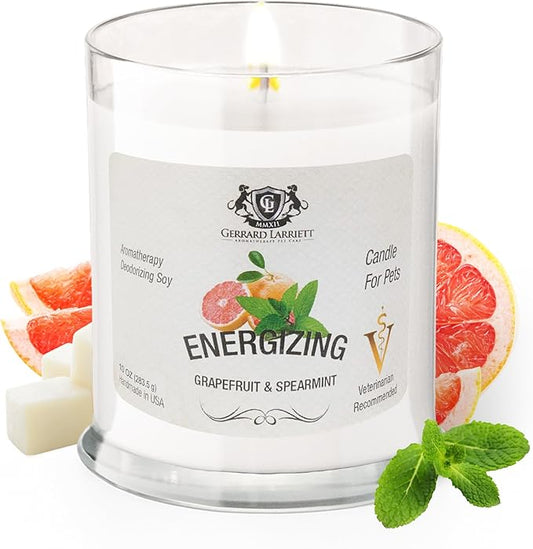 Gerrard Larriett: Energizing Grapefruit & Spearmint Scented Candles for Home Decor and Pet Odor - Aromatherapy Stress Relief Soy Wax Candles - Pet Odor Eliminator for Home - Pet Friendly Candles