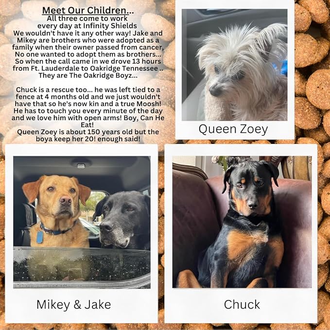 Pet Pro Stain & Odor Eliminator for Strong Odor, Enzyme Pet Urine Odor Eliminator, Carpet Stain Remover for Cats & Dog Pee, Enzymatic Cat Urine Destroyer, Carpet deodorizer & Spray