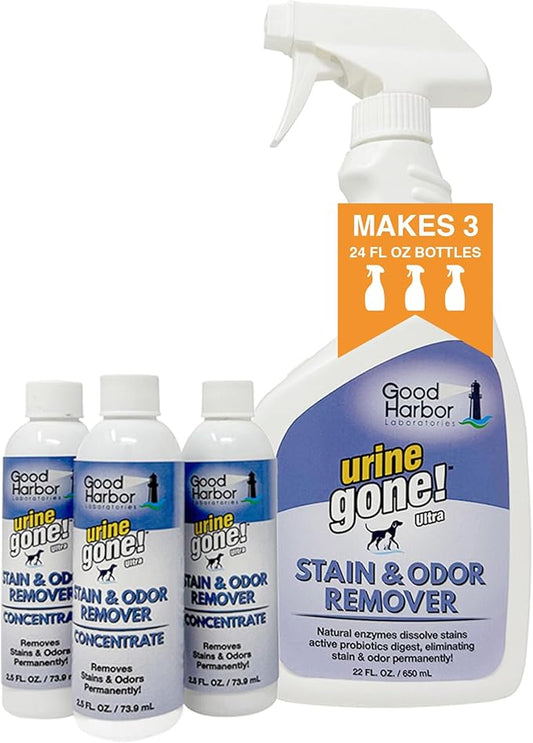 Urine Gone Stain & Odor Remover Concentrate: Fast-Acting, Natural Probiotic Enzymes, eliminate Stain & Odor on Carpet, Floor, & More. Helps Stop Pet Marking. Spray bottle + 3 fills. Makes 73.5 oz