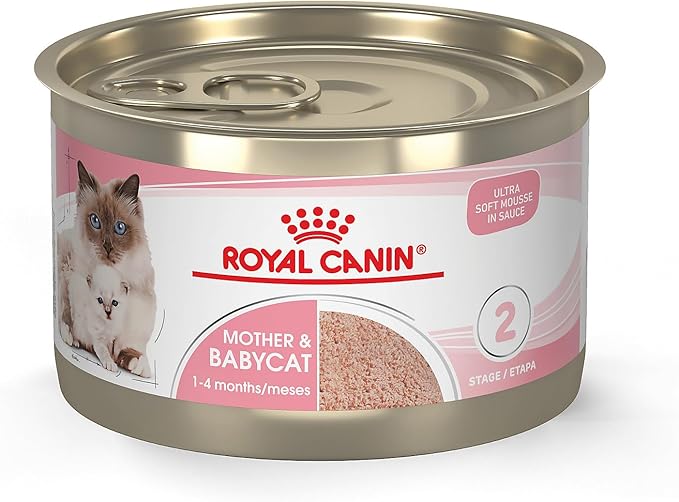 Royal Canin Feline Health Nutrition Mother & Babycat Ultra Soft Mousse in Sauce Canned Cat Food, 5.1 Oz Can
