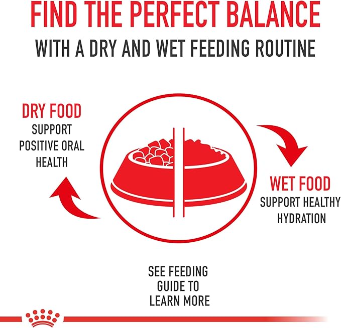 Royal Canin Feline Health Nutrition Adult Instinctive Loaf in Sauce Canned Cat Food, 3 oz can (24-count)