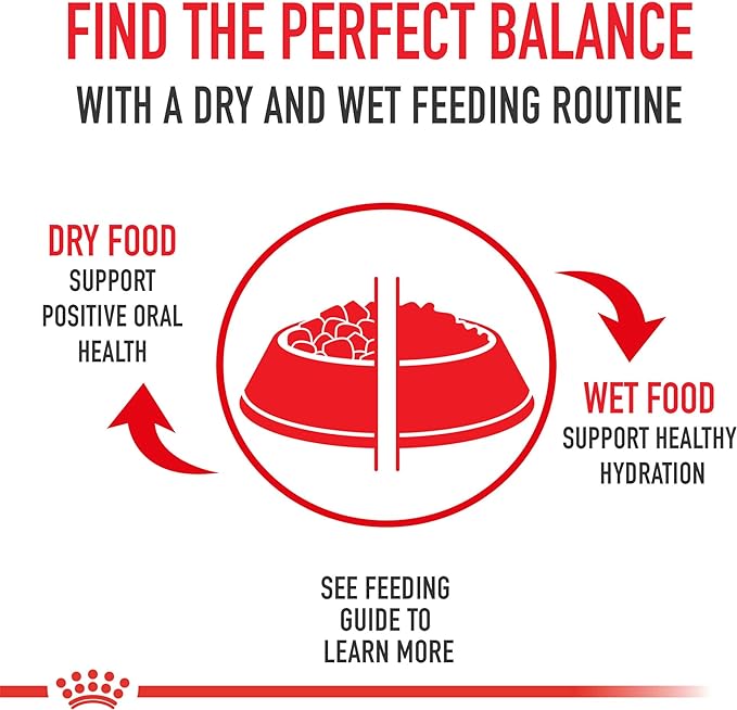Royal Canin Feline Care Nutrition Digestive Care Loaf in Sauce Canned Cat Food, 5.1 oz can (24-count)