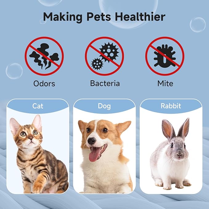 ELS PET Odor Eliminator for Strong Odor - Enzyme Pet Odor Eliminator for Self Cleaning Litter Box- Stain Remover for Cats and Dog Pee - Enzymatic Cat Urine Destroyer - Carpet Spray, 6.76oz Two Pack