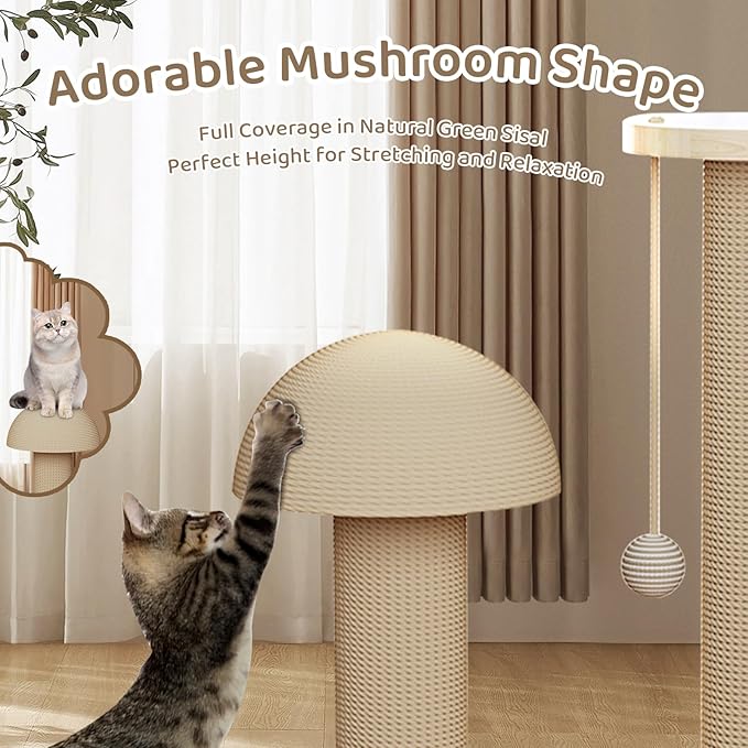 Cat Scratching Post- 4 in 1 Cat Scratch Post Kitten Toys for Indoor Cats, Wooden Cat Scratcher with 2 Level Cat Track Ball, Interactive Cat Feather Toy, Mushroom Cat Scratcher and Sisal Hanging Ball