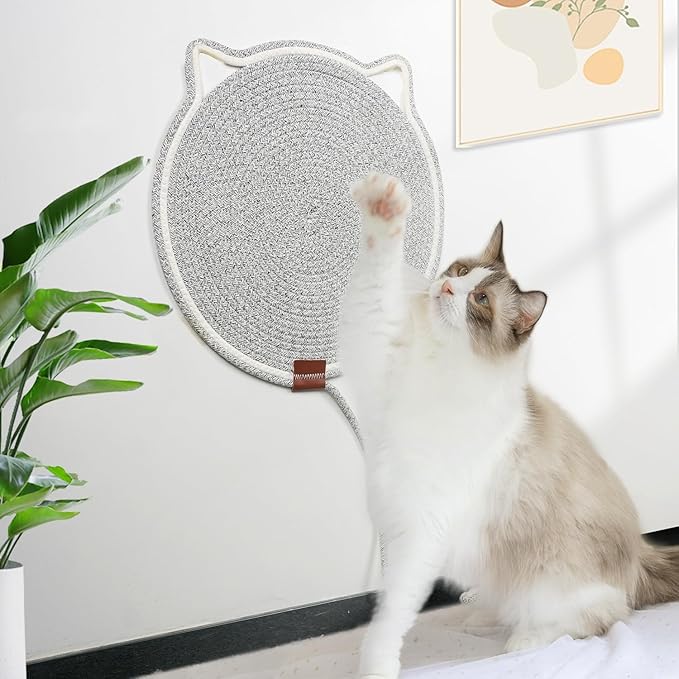 Stainless Steel Cat Litter Box with Lid - 3 in 1 Enclosed Cat Litter Box XL Extra Large Odor Control Covered Metal Litter Pan for Big Multiple Cats Includes Step, Scoop, Cat Scratcher Mat