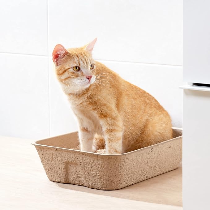 Navaris Disposable Cat Litter Trays (Pack of 10) - Cardboard Liner Tray for Cats Made of 100% Paper - Use Alone or As Box Liners - 15.9" x 11.8"