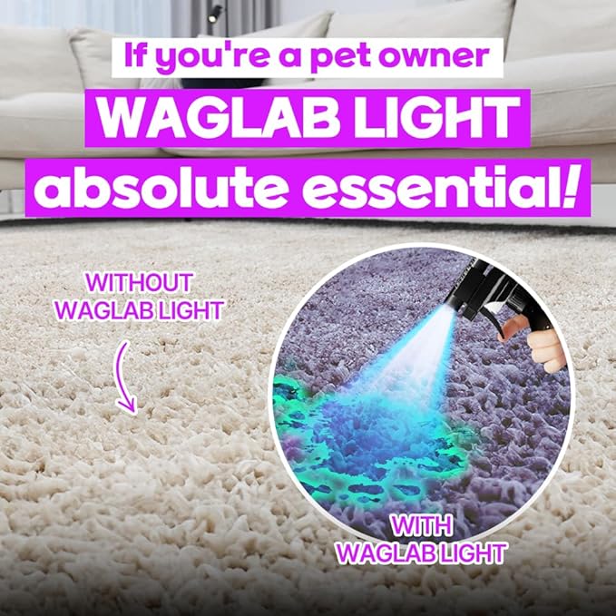 CATCH SMELL Stain & Odor Eliminator flower Deodorizer air fresheners for Home, Carpet Remover for Cats & Dog Pee Cat Urine Destroyer,Clean refresher Spray