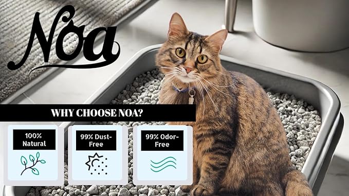 NOA Mineral Clumping Cat Litter, Odor Neutralizer, Hypoallergenic, Lightweight Eco-Friendly Product with Pure Lavender Bliss Made in USA., Natural Colour
