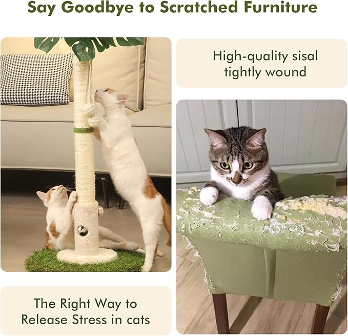 Cat Scratching Posts Cat Trees 35.43" Tall with Sisal Rope Cat Toy and Hanging Ball for Indoor,Wooden Palm Tree Cat Scratch Pole for All Cat(White