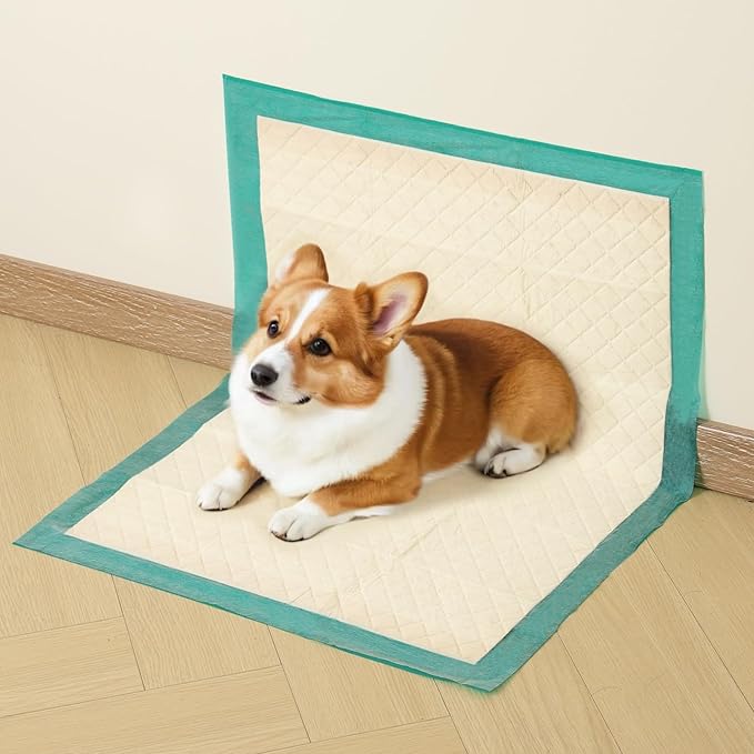 Puppy Pee Pad for Dog 10 Counts Disposable Pet Training Pad with 4 Adhesive Tape Pee Pads Quick Dry Pad for Dogs, Puppies, Doggie, Cats, Rabbits, 18" x 24",Suitable for Crate/Cage/Kennel/Carrier