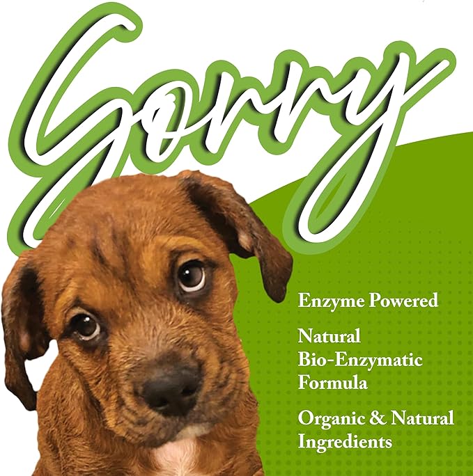 Pet Stain & Odor Eliminator for your home – Enzyme Powered Solution Made to Eliminate the Strongest Pet Urine Odor – Enzymatic Power Cleans and Removes Pet Stains From Carpet and Upholstery – Organic and Natural Ingredients – Made in the USA – 32oz