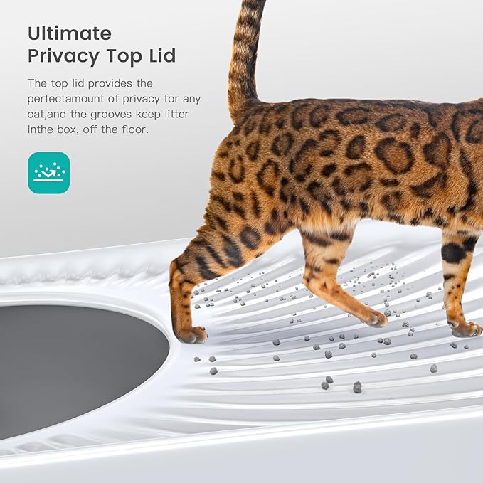 Stainless Steel Cat Litter Box, Large Top Entry Litter Box for Big Cats, Enclosed Kitty Litter Box with Lid, Metal Cat Litter Box Never Absorbs Odors, Easily Cleaning, Include Scoop