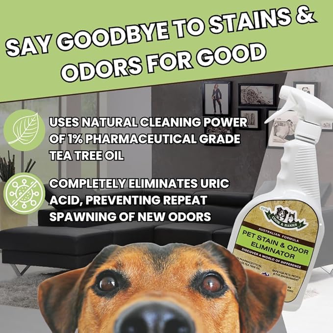 GVX Cook & Banks Pet Odor Eliminator - Pet Carpet Cleaner Spray - Dog Urine Cleaner & Cat Spray Deterrent - Dog Pee Spray & Cat Urine Deterrent - Dog and Cat Pee Cleaner - Hard Floor Cleaner - 32 oz