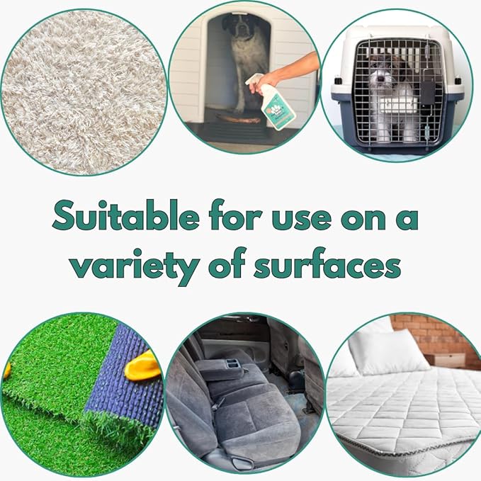 Pet Stain & Odor Remover - Fast-Acting Enzyme Cleaner for Dog & Cat Urine - Safe for Carpets, Floors, Furniture - Non-Toxic, Pet-Safe Formula - 1 Gallon