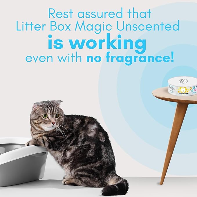 Cat Litter Deodorizer Jar (Fragrance Free, 16 Oz, Pack of 1) - Unscented Cat Litter Odor Control Gel - Cat Litter Box Pet Air Freshener - Litter Odor Eliminator to Freshen Air