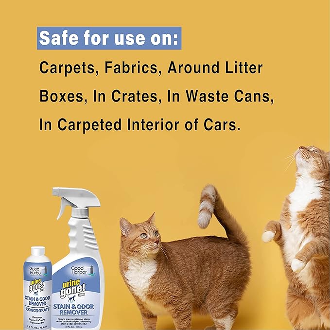 Urine Pet Stain & Odor Remover Concentrate:Fast-Acting,Natural Probiotic Enzymes, eliminate Stain matter & Odor on Carpet, Furniture & Helps Stop Pet Marking.Spray bottle + 1 fill (24.5 oz.)