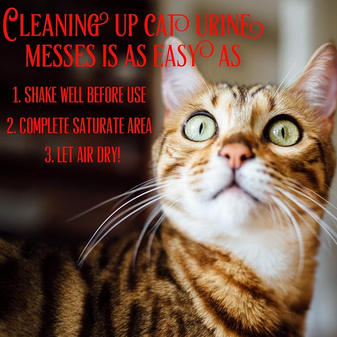 Instantly Cat Urine Odor Remover & Eliminator Cleaning Solution, Oxidizer Based Pee Cleaner Solution & Deodorizer for Carpets, Outdoor Rugs, Rugs, Mattress, etc. 2-128 oz Gallons