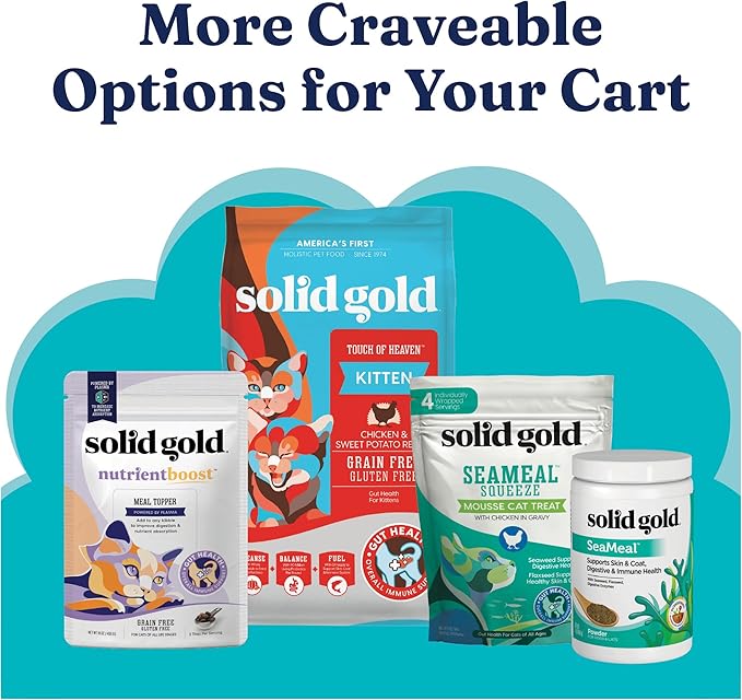 Solid Gold Flavorful Feast Wet Cat Food - Classic Pate - Real Chicken (for Kittens) - Canned Cat Food, 24 Pack