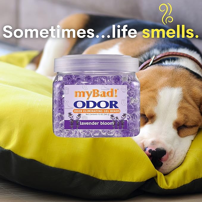 Odor Eliminator Essential Oil Gel Beads 12 oz - Air Freshener - Eliminates Odors and Smells in Bathroom, Pet Area, Closets, RVs, Pet Areas (Lavender Bloom, 2 Pack)