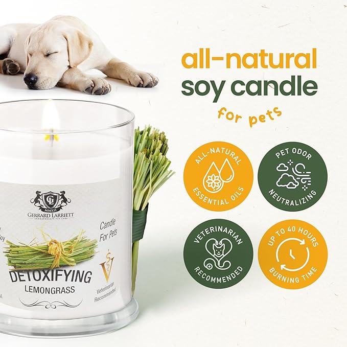 Detoxifying Lemongrass Scented Candles for Home Decor and Pet Odor - Aromatherapy Stress Relief Soy Wax Candles - Pet Odor Eliminator for Home - Pet Friendly