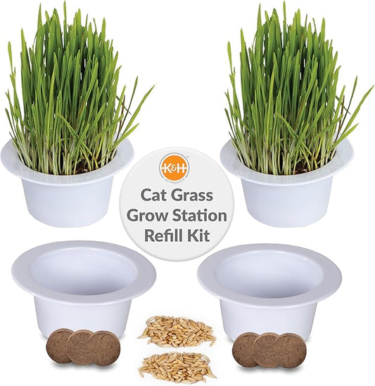 K&H Pet Products Cat Grass Grow Station Growing Cup Refills for K&H EZ Mount Products, Healthy Home Grown Grass Cat Toys for Bored Indoor Adult Kitties, Farmed in USA, Non-GMO - Refill ONLY, 2 Pack