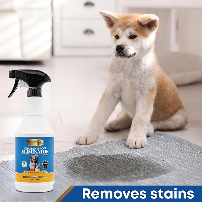 Water Based Solution Pet Stain & Odor Remover - Oxy Spot Cleaner, Urine Odor Eliminator for Home, Enzyme Cleaner for Dog and Cat Urine, Carpet Cleaner Spray, Pet Pee Repellent Indoor