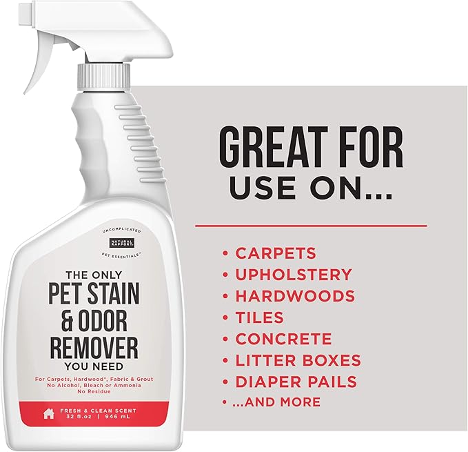 Natural Rapport Pet Stain and Odor Spray - The Only Pet Stain and Odor Remover You Need - Pet Stain Remover Carpet and Upholstery Cleaner Urine Odor Eliminator Spray for Pets (32 fl oz.)
