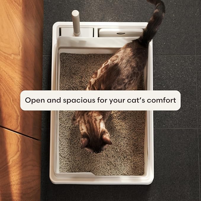 Cove Litter Box, High Sided Open Top Designer Litter Box for Large Cats, Built-in Scoop, Brush & Dustpan, Anti-Stick Plastic, Privacy Walls - White/Gray