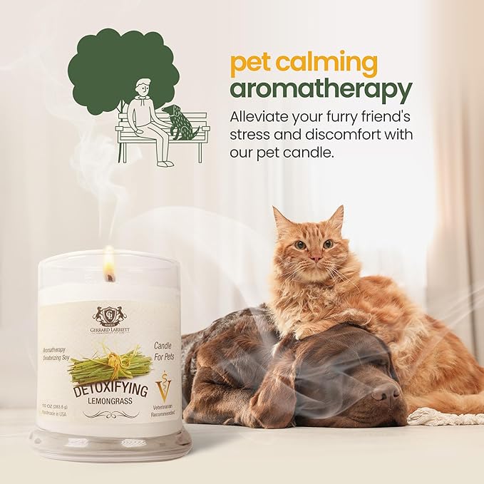 Detoxifying Lemongrass Scented Candles for Home Decor and Pet Odor - Aromatherapy Stress Relief Soy Wax Candles - Pet Odor Eliminator for Home - Pet Friendly