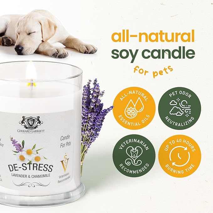 Pet Odor Eliminator Candle Lavender and Chamomile Scented Candles for Home Decor - Calming Candles Aromatherapy, Soy Wax Pet Candles Odor Eliminator for Home - Pet Friendly Candles by Gerrard Larriett