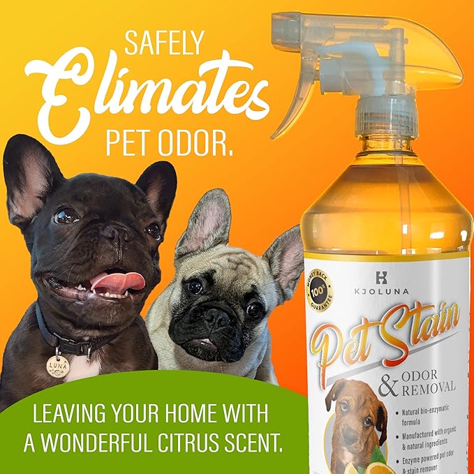 Pet Stain & Odor Eliminator for your home – Enzyme Powered Solution Made to Eliminate the Strongest Pet Urine Odor – Enzymatic Power Cleans and Removes Pet Stains From Carpet and Upholstery – Organic and Natural Ingredients – Made in the USA – 32oz