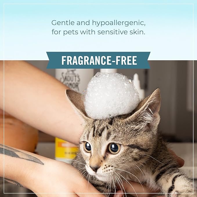 SKOUT'S HONOR Probiotic Cat Shampoo & Conditioner with Avocado Oil & Omega-3s, 97% Natural, Paraben & Sulfate-Free, Cruelty-Free, 16oz, Fragrance Free