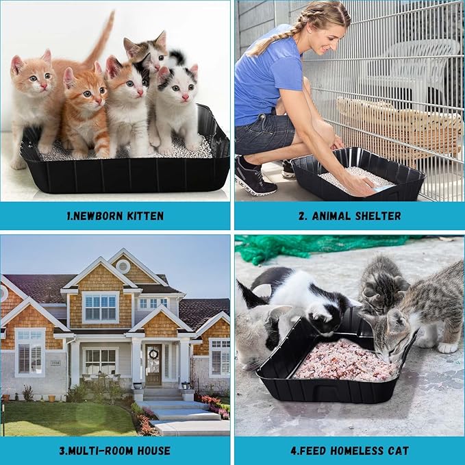50 Pieces Disposable Litter Boxes for Cats Small Kitty Litter Box Litter Tray for Pets Plastic Litter Boxes for Indoor Cats Kitten Hamster Rabbit Guinea Pig Travel, 15.7 x 11.8 x 3 Inches, Black