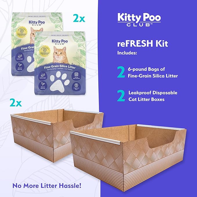 Leakproof Disposable 2-Pack Cat Litter Box with 2 Bags of 6 lbs Litters | Superior Odor Control & Recyclable Design | Perfect for Travel, Multi-Cat Homes & Daily Use — Kitty Poo Club