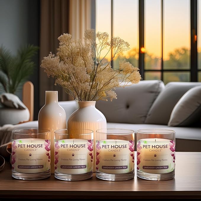 One Fur All Pet House Lavender Green Tea Candles Plant-Based/Soy Candle - Clean Burning Scented Candles, Long Lasting Pet Odor Candle for Home - 4 Pack