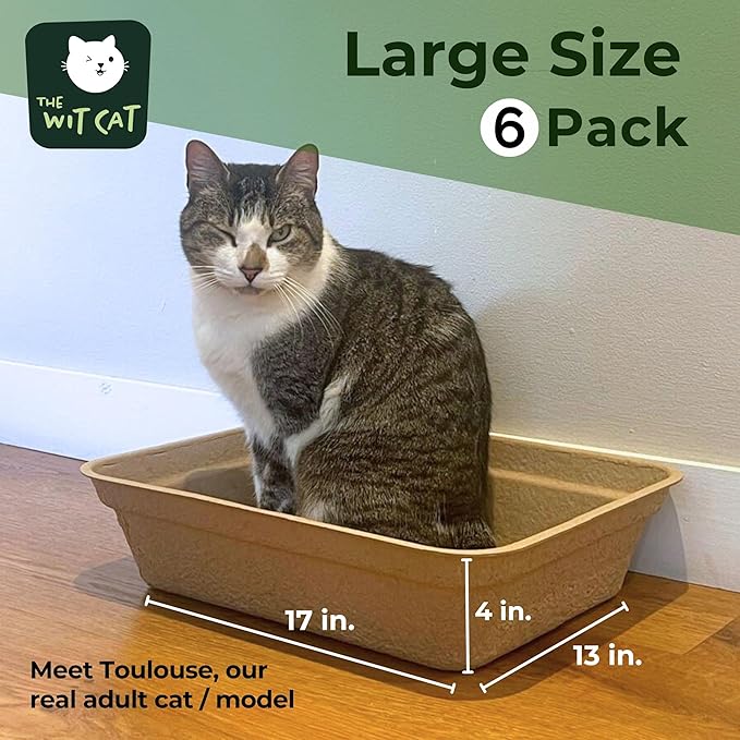 Disposable Litter Boxes for Cats | 6-Pack, Large Size | Sturdy and Water Resistant | Practical and Sustainable