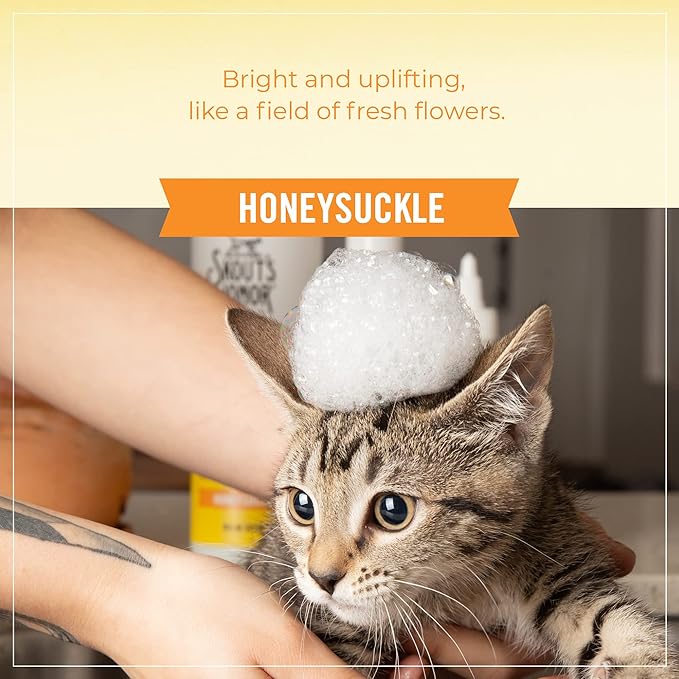 SKOUT'S HONOR Probiotic Cat Shampoo & Conditioner with Avocado Oil & Omega-3s, 97% Natural, Paraben & Sulfate-Free, Cruelty-Free, 16oz, Honeysuckle
