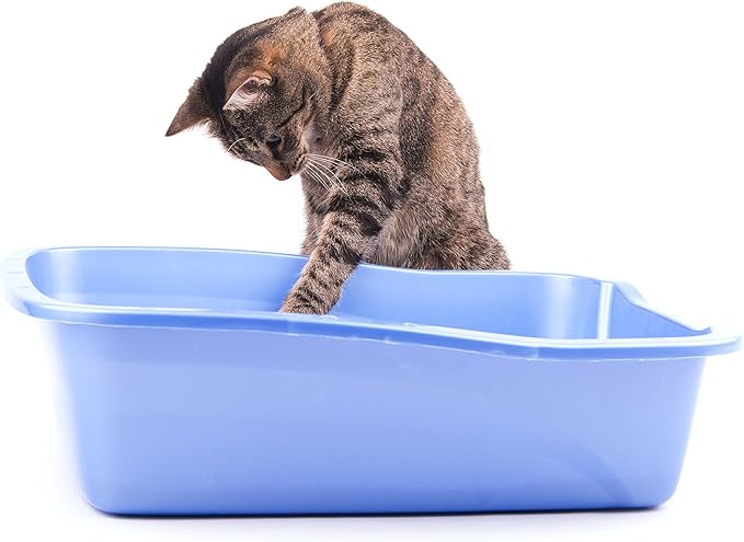 Cat Litter Deodorizer (1 Pack)