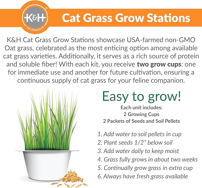 K&H Pet Products Cat Grass Grow Station Growing Cup Refills for K&H EZ Mount Products, Healthy Home Grown Grass Cat Toys for Bored Indoor Adult Kitties, Farmed in USA, Non-GMO - Refill ONLY, 2 Pack