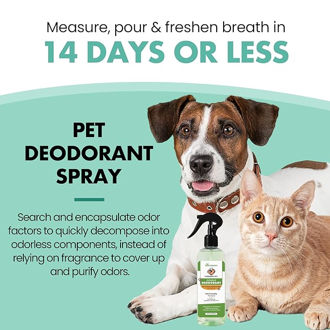 Cologne Spray Deodorant Organic Natural Spray Eucalyptus Spearmint Clean Fresh Smell Odor Remover Odor Eliminator