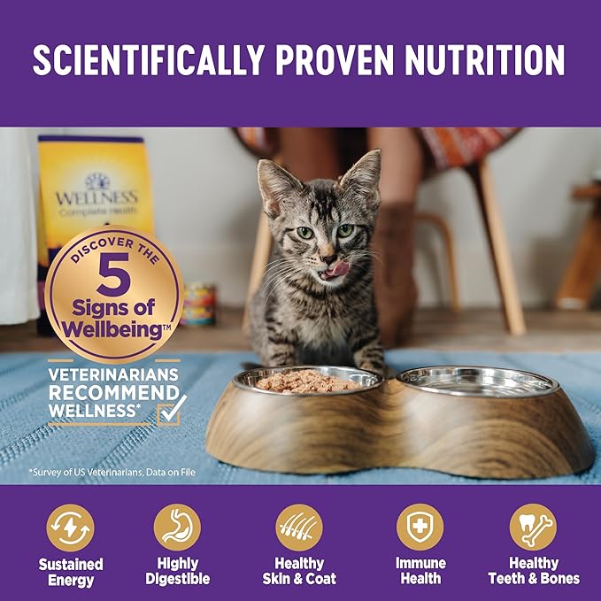 Wellness Natural Pet Food Wellness Complete Health Natural Grain Free Wet Canned Cat Food, Sliced Salmon Entree, 5.5 Ounce (Pack of 24)
