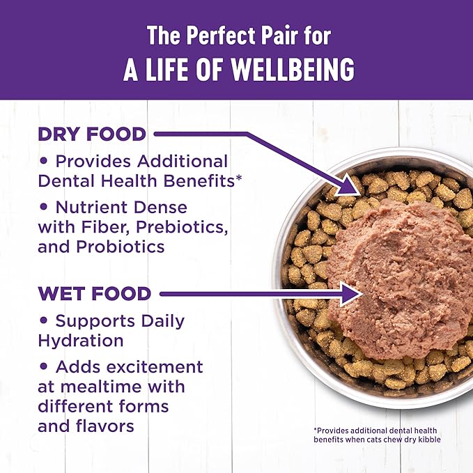 Wellness Natural Pet Food Wellness Complete Health Natural Grain Free Wet Canned Cat Food, Sliced Salmon Entree, 5.5 Ounce (Pack of 24)
