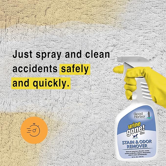 Urine Pet Stain & Odor Remover Concentrate:Fast-Acting,Natural Probiotic Enzymes, eliminate Stain matter & Odor on Carpet, Furniture & Helps Stop Pet Marking.Spray bottle + 1 fill (24.5 oz.)