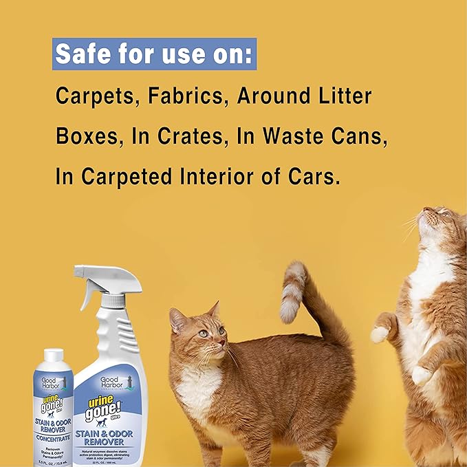 Urine Gone Stain & Odor Remover Concentrate: Fast-Acting, Natural Probiotic Enzymes, eliminate Stain & Odor on Carpet, Floor, & More. Helps Stop Pet Marking. Spray bottle + 3 fills. Makes 73.5 oz