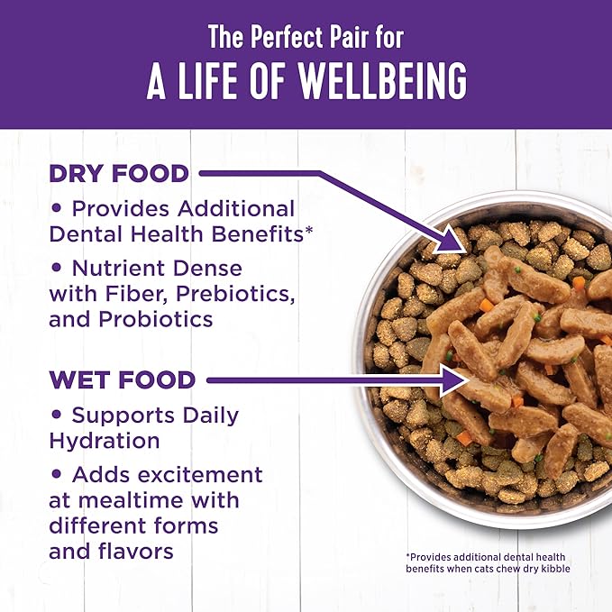 Wellness Complete Health Natural Grain Free Wet Canned Cat Food, Sliced Chicken Entrée in Rich Gravy, 5.5-Ounce Can (Pack of 24)